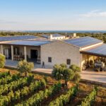 Fotovoltaico per l'Agroindustria nel Salento: soluzioni energetiche su misura per cantine e frantoi